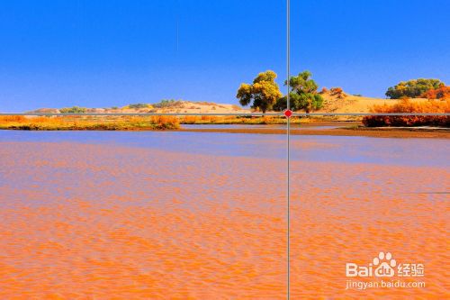 黃金分割法構圖